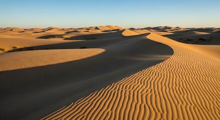 Naklejka premium Sand dunes landscape in a desert environment