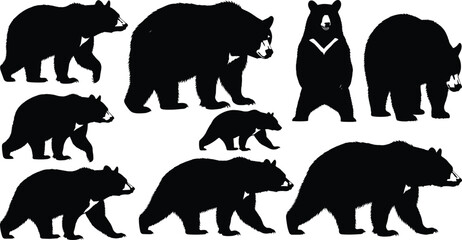 black bear silhouette vector illustration, wildlife animal pose collection, standing bear with chest mark, nature mammal shape design, forest creature © Creatives World