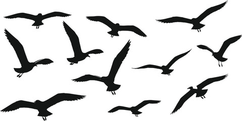 Flying bird silhouette collection in different poses, flock of birds in motion, wildlife nature scene, freedom and travel concept vector illustration design