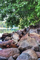 Serene Lakeside Rocks Under Lush Green Canopy