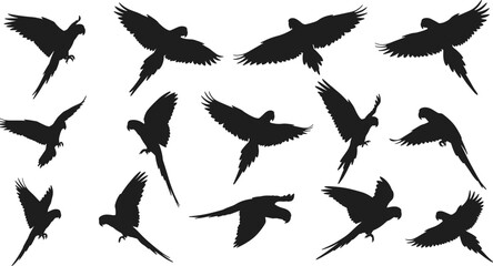 Set of flying parrot silhouette vector illustrations, tropical bird collection in various flight poses, wildlife animal design concept, exotic nature graphic art