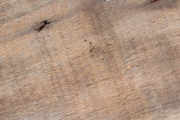 Old wooden texture for background that has natural cracks.