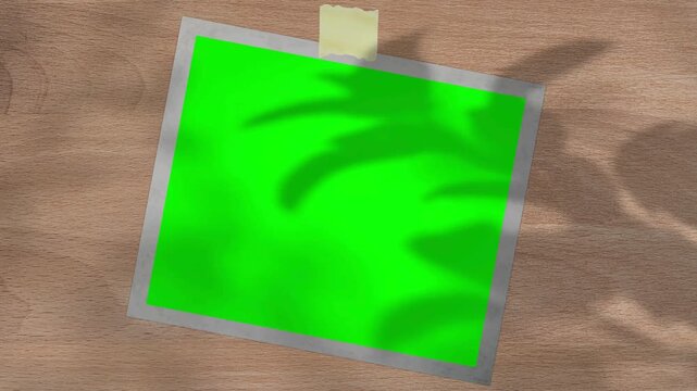 name tag with leaf shadows