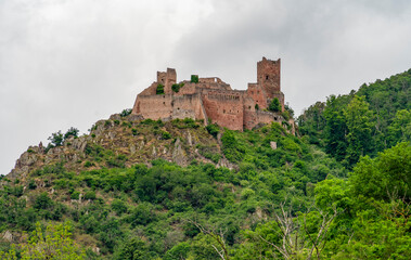 Obraz premium Castle ruin near Ribeauville