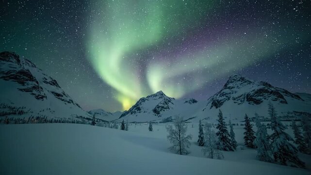 The profound tranquility and majestic beauty of a remote, sub zero wilderness, illuminated solely by the cosmic spectacle above and the soft glow on the snow.