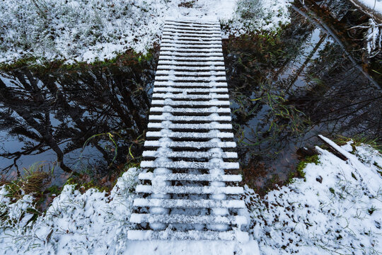 High angle view of a snow-covered wooden boardwalk trail crossing dark, reflective bog water in an Estonian early winter.
