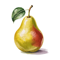 pear with stem and green leaf Watercolor single style
