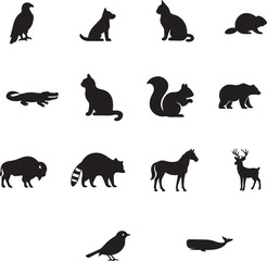 Animal,  cat,caw bards