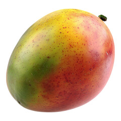 A single ripe mango, a tropical fruit, with vibrant colors ready for consumption. Its skin transitions from green to yellow and red