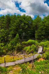 Several views of the Hell of Kumatsu (Komatsujigoku), where a wooden path leads you through a collection of boiling mud pools and steamy fumaroles demonstrating the volcanic activity taking place just