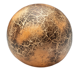 A large, cracked, and weathered eggshell sits on a white background