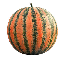 A large, orange and green striped watermelon sits on a white background