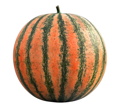 A large, orange and green striped watermelon sits on a white background
