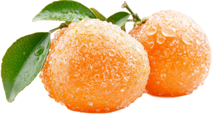 transparent background,Fresh oranges with water droplets glistening on their surface, surrounded by green leaves, showcasing vibrant color and natural freshness in an isolated image