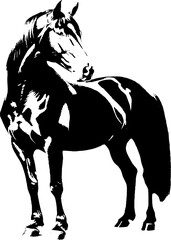 A dynamic black silhouette of a horse  exuding grace and strength against a clean white backdrop