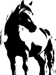 A dynamic black silhouette of a horse  exuding grace and strength against a clean white backdrop