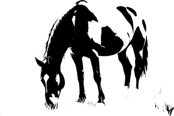 A dynamic black silhouette of a horse  exuding grace and strength against a clean white backdrop