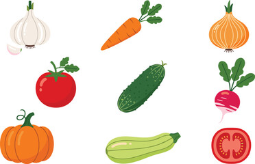 Set of Common Flat Design Kitchen Vegetables Vector Illustration, Including Garlic, Carrot, Onion, Tomato, Cucumber, Pumpkin, and Zucchini for Healthy Food