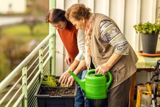 An elderly woman and her daughter inspect a small raised planter on the balcony, engaging in gardening together.
