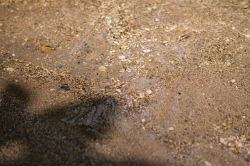 A close-up view of clear water flowing over a mix of fine sand and small pebbles on a sunny riverbank.