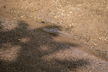 A close-up view of coarse sand and small pebbles on a riverbank, with a trickle of clear water flowing across the surface