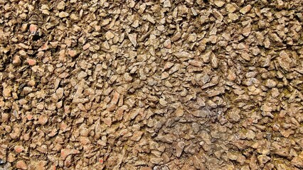 rough texture of walls