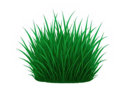 Green grass tuft growing, natural vegetation creating a vibrant organic texture on transparent background