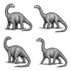 Brachiosaurus Dinosaur Sketch Set in Vintage Engraving Style, Transparent Background © FriskySloths