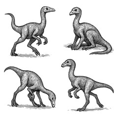 Coelophysis Dinosaur Sketch Set in Vintage Engraving Style, Transparent Background