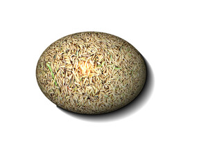Rice grains in a spherical shape.
