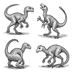 Oviraptor Dinosaur Sketch Set in Vintage Engraving Style, Transparent Background