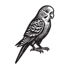 Obraz premium Elegant black and white woodcut style illustration of a budgerigar, a charming small parrot often kept as a beloved pet, captured with intricate detail showcasing its unique natural beauty and grace
