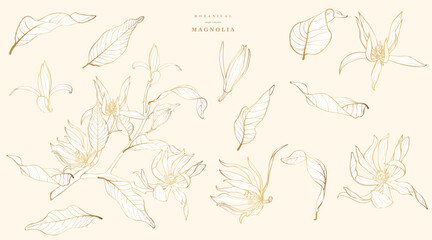 Tropical magnolia flowers branch. Beautiful golden line illustration.