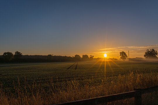 Golden Dawn Over York Fields