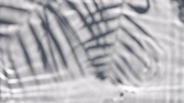 Tropical palm leaves and reflections sunlight in slow motion. Drop shadow effect with wave refraction of light. Sun and shadows. Layout for advertising goods, cosmetic products. High quality 4k 