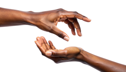 Female Hands Sharing and Offering Help, Isolated on Transparent Background PNG