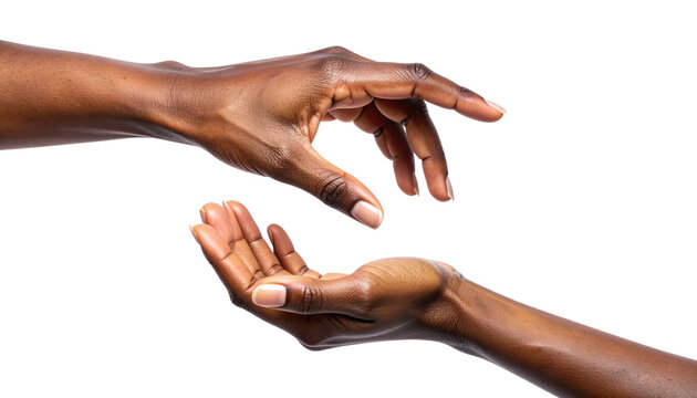 Female Hands Sharing and Offering Help, Isolated on Transparent Background PNG - Powered by Adobe
