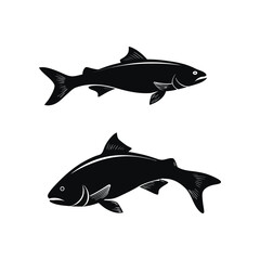 Fototapeta premium shark vector illustration - Shark vector silhouette on white background 