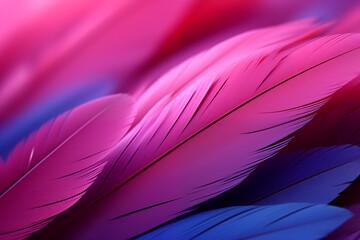 pink pastel closeup shot feathers wallpaper background presentation 