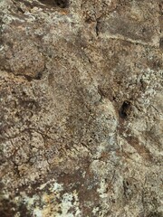 Material texture natural stone
