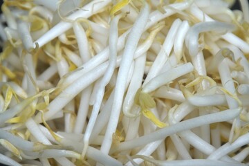 fresh bean sprout raw food prepare to cook in bowl  