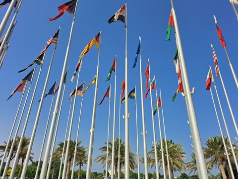 Flags of Different Countries against Clear Blue Sky and Palm Trees at the Flag Plaza in Doha, Qatar