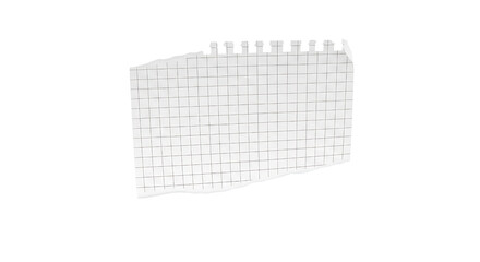 Ripped graph paper sheet with torn edges and perforated top