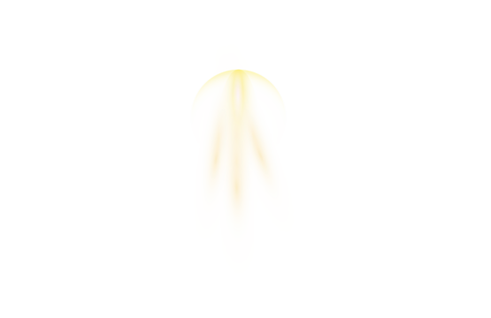 Plant luminescence against dark background