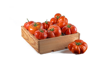 Wooden crate filled with ripe red oxheart tomatoes, heirloom variety grown in a home garden. Fresh organic harvest isolated on white background