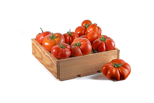 Wooden crate filled with ripe red oxheart tomatoes, heirloom variety grown in a home garden. Fresh organic harvest isolated on white background