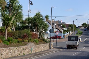 A street scene features tropical trees in the foreground, a give way sign, and residential houses beyond. An access road is to the right in Perranporth - Cornwall - UK
