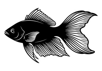 Black and white vector illustration of a tropical aquarium fish swimming in the water