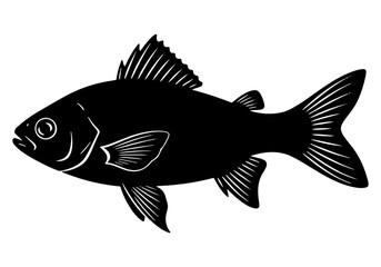 Illustration of a fish, created as a vector graphic, featuring an aquatic design.