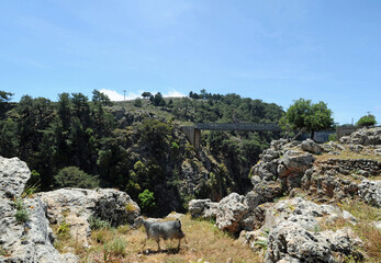 Le viaduc vu depuis le village abandonné d'Aradaina près d'Anopoli dans les Sfakia en Crète